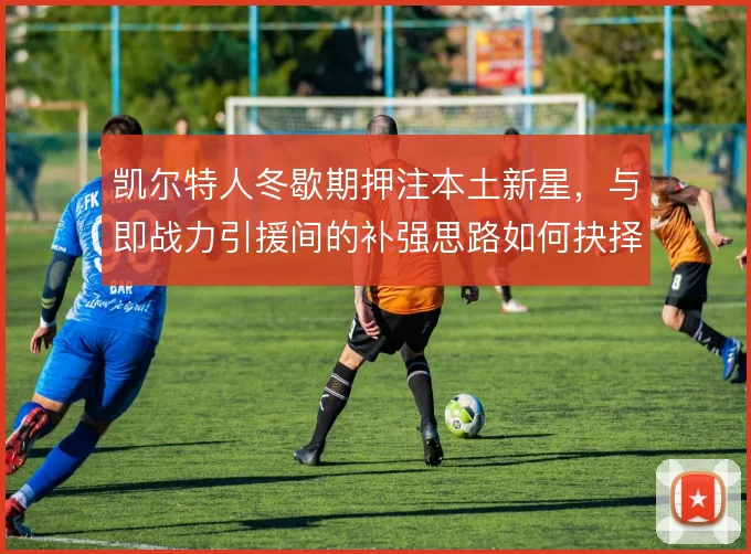凯尔特人冬歇期押注本土新星，与即战力引援间的补强思路如何抉择